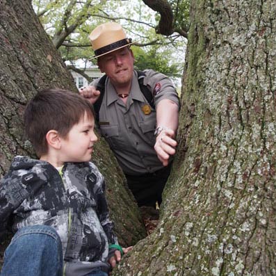 A park ranger assists a junior ranger recruit examining the "Algernourne Oak"  on the Parade Ground at Fort Monroe National Monument.